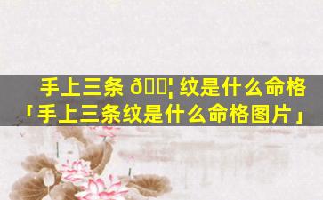 手上三条 🐦 纹是什么命格「手上三条纹是什么命格图片」